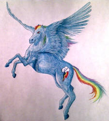 Rainbow Dash Realistic