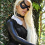 Black Cat