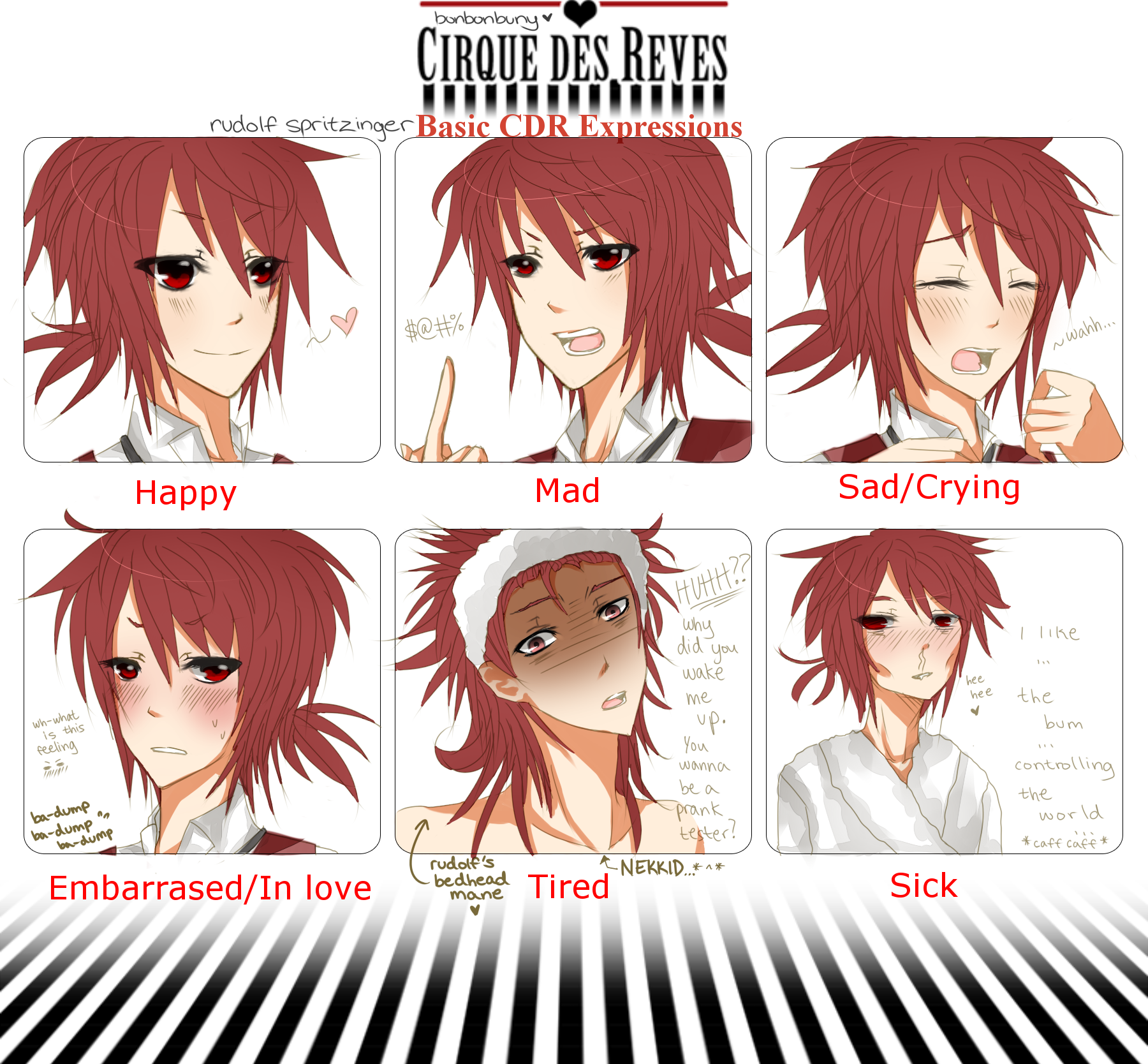 CDR-expressions meme--rudolf