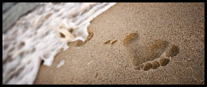 Cape Hatteras : Foot