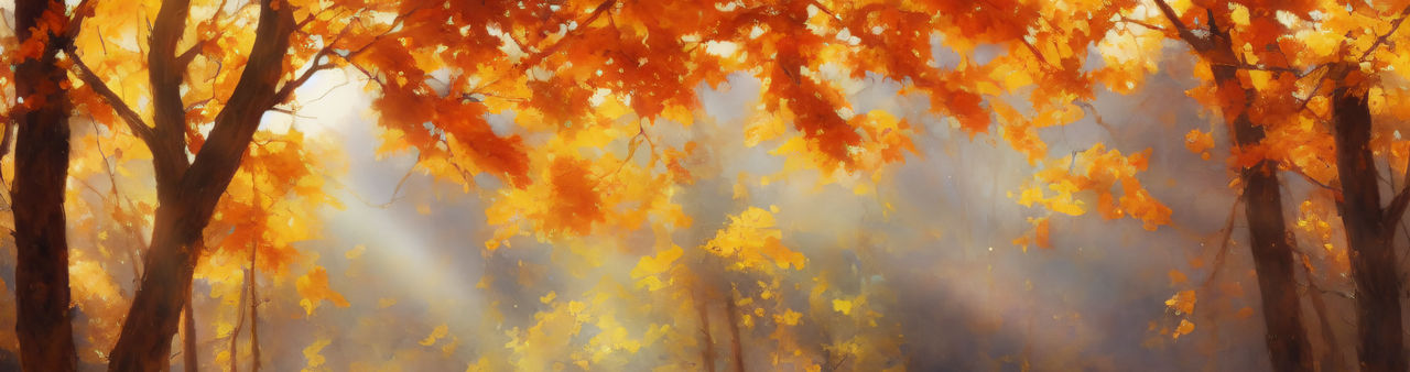 Fall International Showjumping Festival - RESULTS by Heartsng on DeviantArt