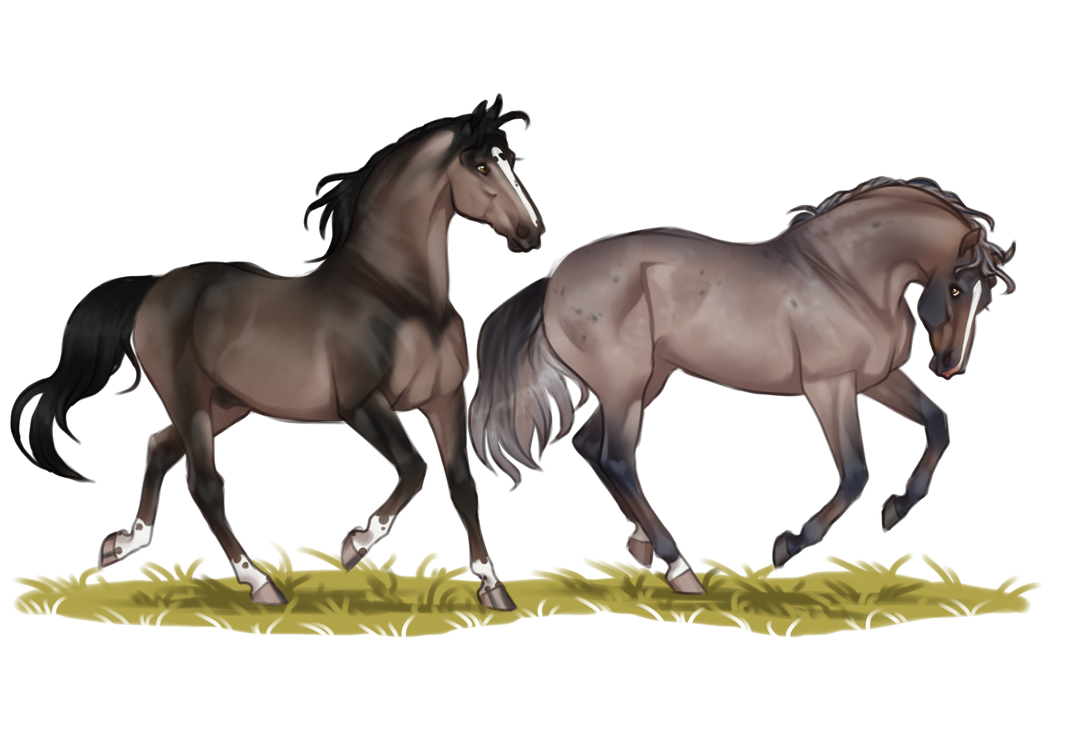 Prancing Ponies by Heartsng on DeviantArt