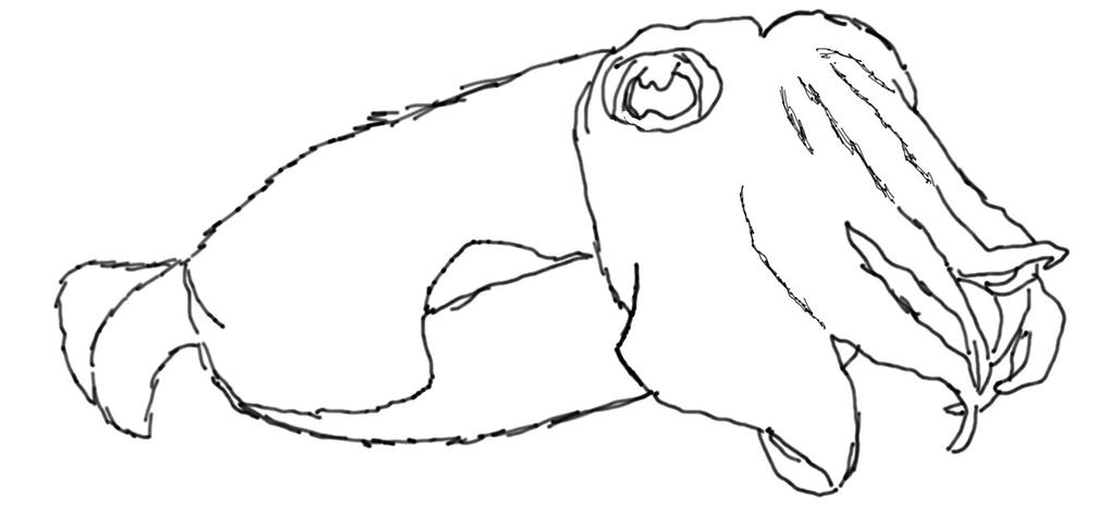 Cuddle Fish by Mayhemney on DeviantArt