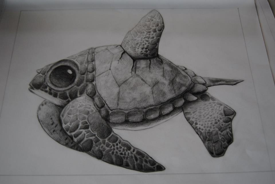 Turtle Fish :) by Sang-of-Blood on DeviantArt