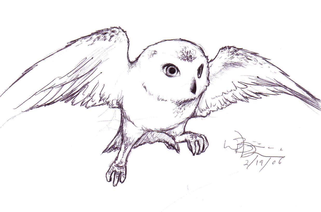 hedwig