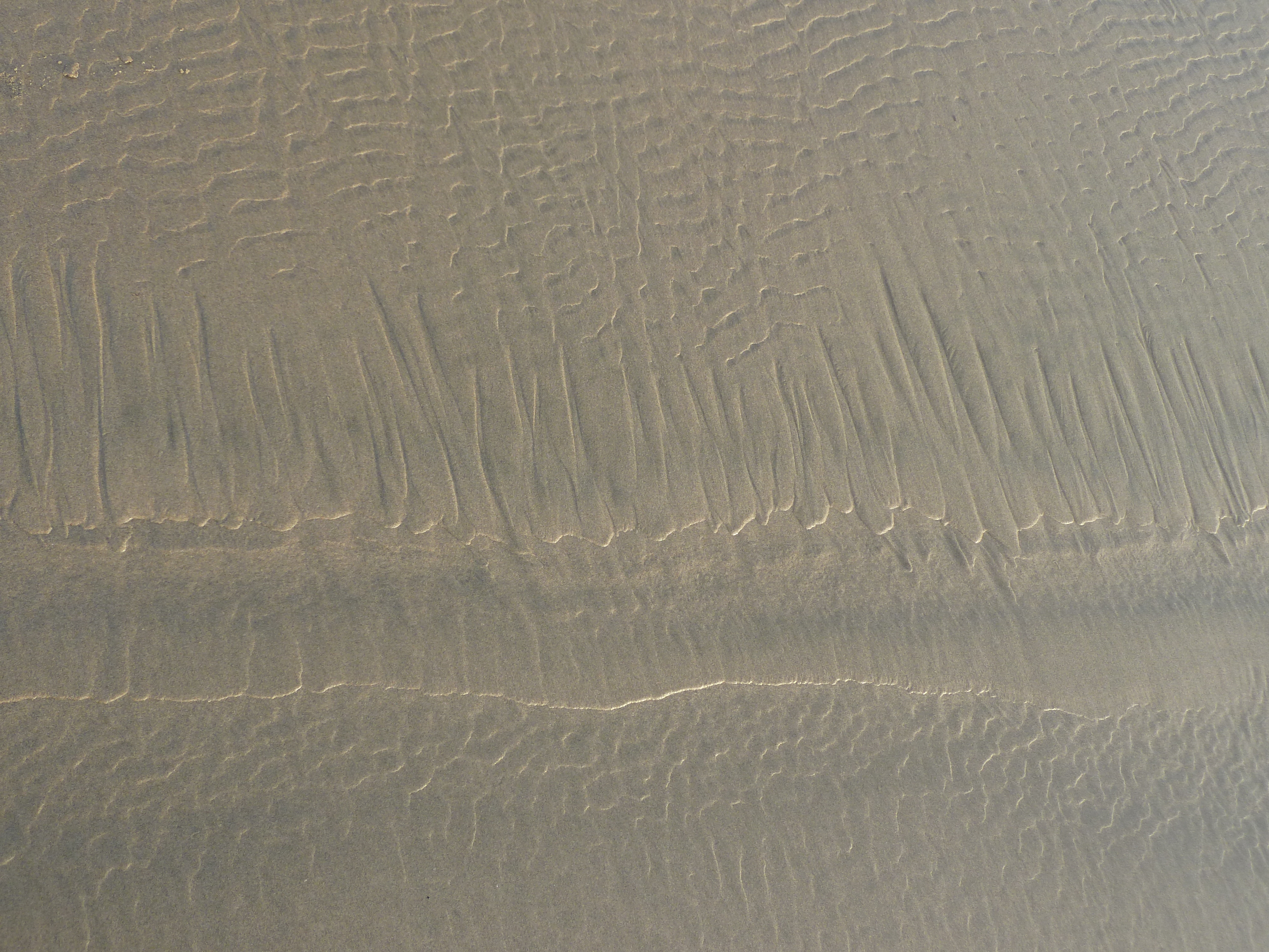 Sand Formations Made by the Wind