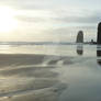 The beautiful Oregon coast