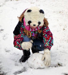 A Panda with a Snowball