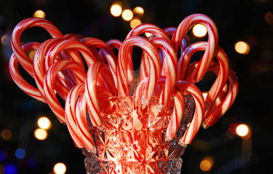 Candy Canes in a Vase by MogieG123