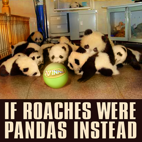 if roaches were pandas instead