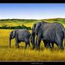 Elephant Parade
