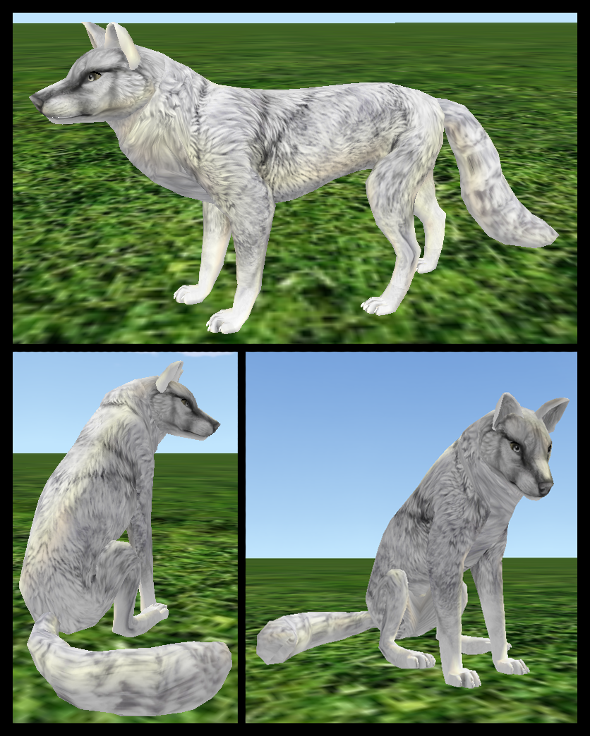 CoyoteMange Fur Texture