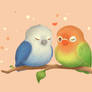 Mango And Berry Love birds