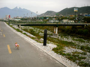 My Dog Running on the Park xD