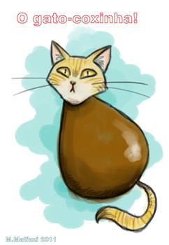 GATO COXINHA