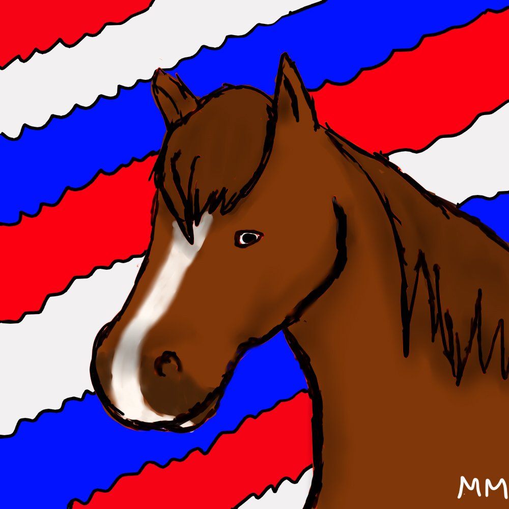 AMERICA horse