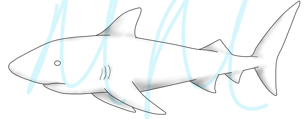 Creative Shark' Base Shark Base by mrm911 on DeviantArt