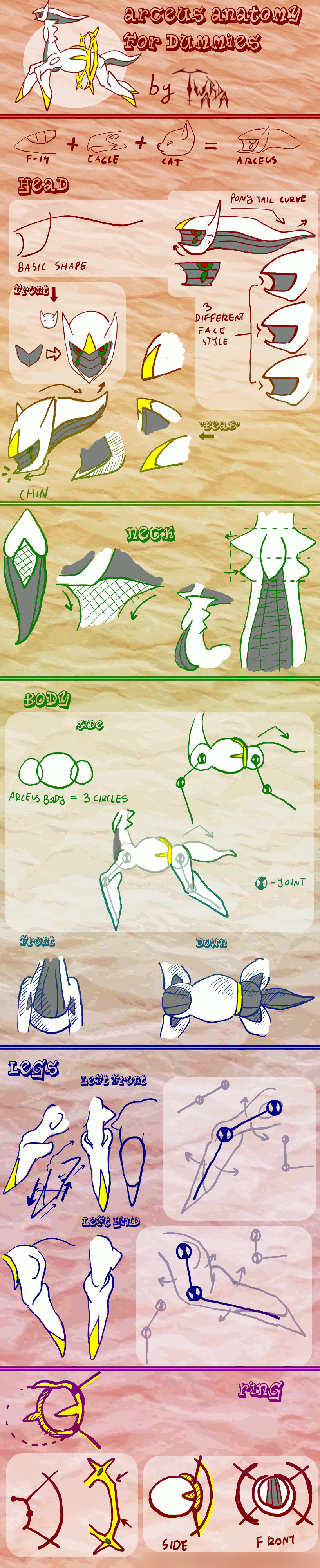 Arceus anatomy for dummies