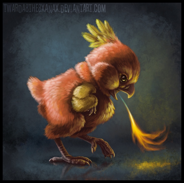 Torchic Draw Realistic Torchic by Twarda8 on DeviantArt