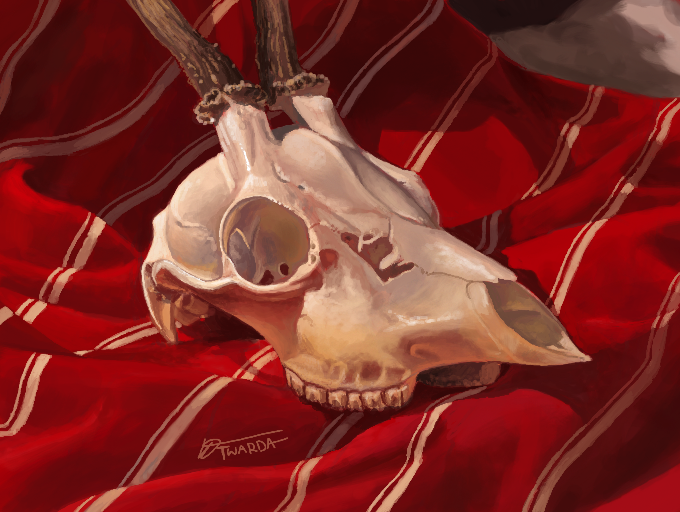 Skull Study [3DS]