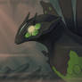 Zygarde