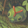 Caterpie [3DS] (2013)