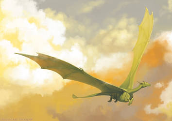 COMM: Dragon Flying by Twarda8