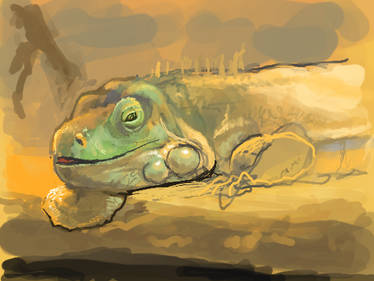 Iguana sketch [NDS]