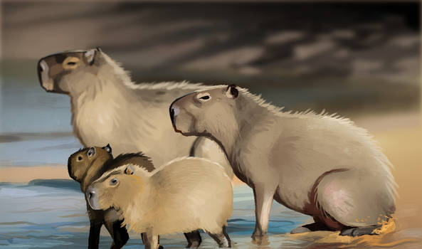 Photostudy 4: Capybara