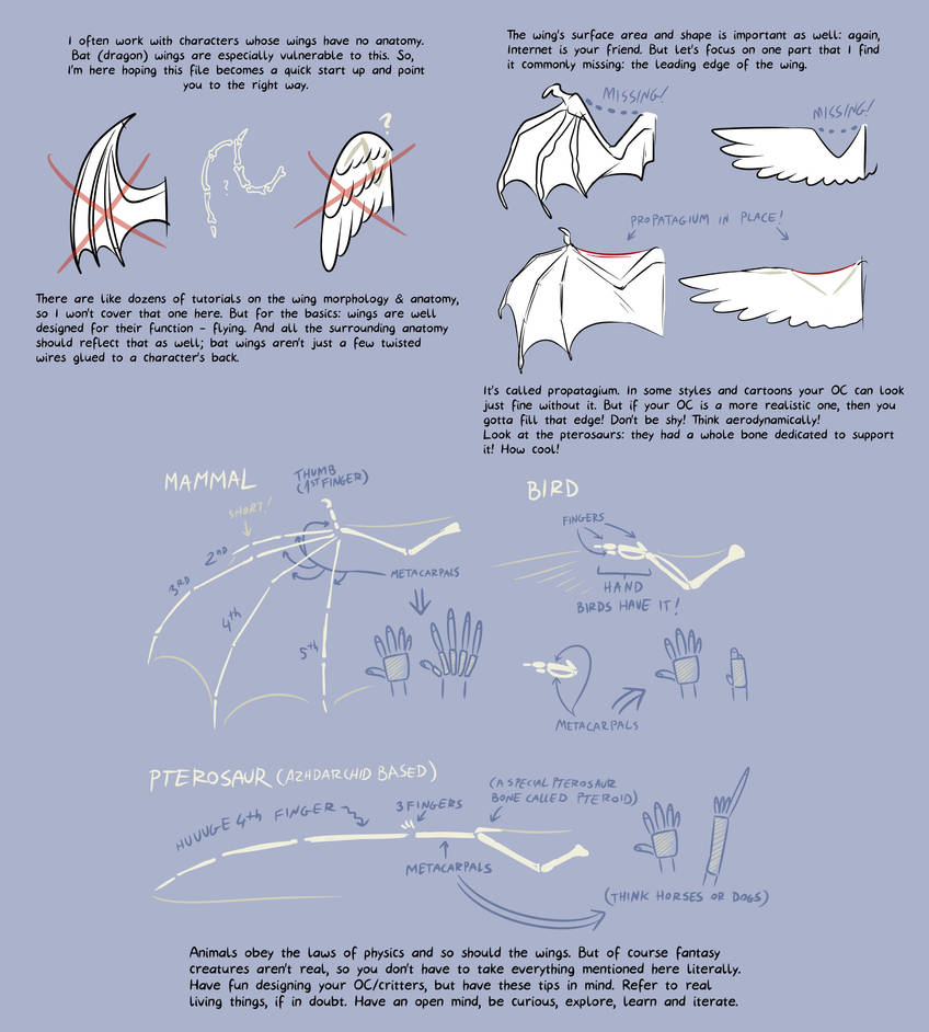 Wing basics by Twarda8 on DeviantArt