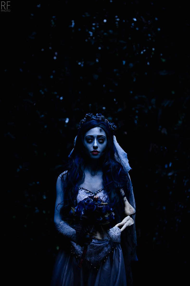 Lady Ragdoll Hobbyist Artisan Crafter Deviantart Lady Ragdoll Hobbyist Artisan Crafter Deviantart