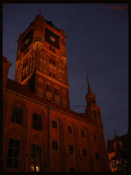 Torun's City Hall I