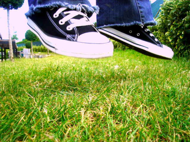 Converses 4