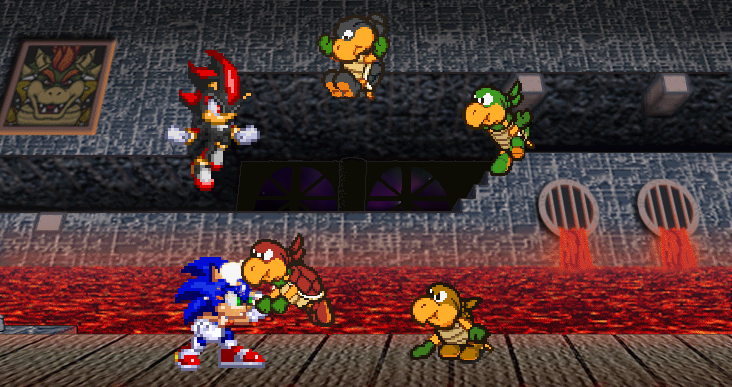 Hedgehogs vs. Koopa Bros