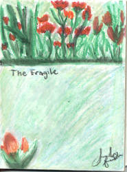 The fragile NIN cover