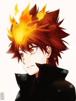 Sawada Tsunayoshi