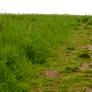 Grass Path 1