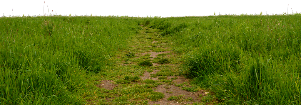 Grass Path 1