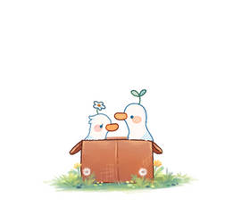 Custom your Duckies cms