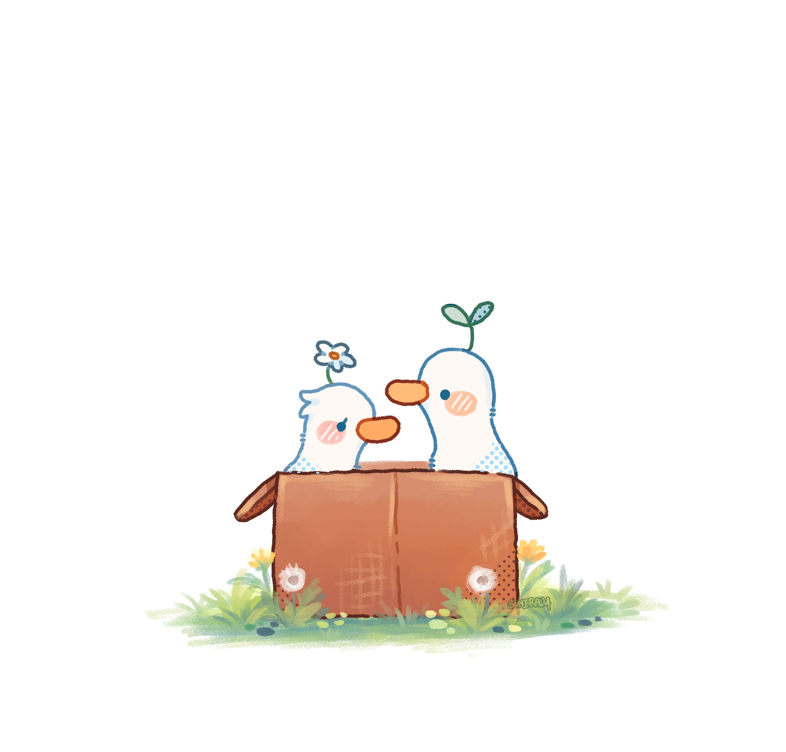 Custom your Duckies cms