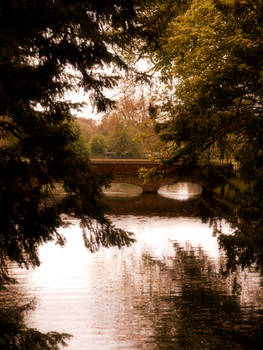 Bridge in Audley End Gardens