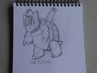 blastoise or