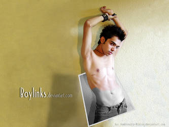 Boylinks Wallpaper II