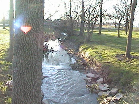 Creek II