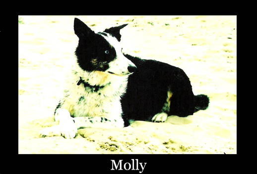 Molly