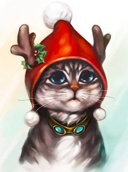 Kitty With Santa Hat