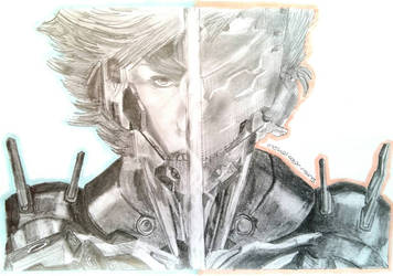 metal gear rising raident