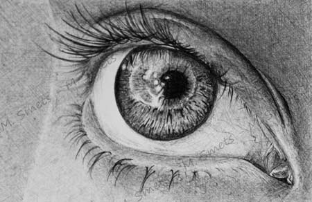 BIC eye