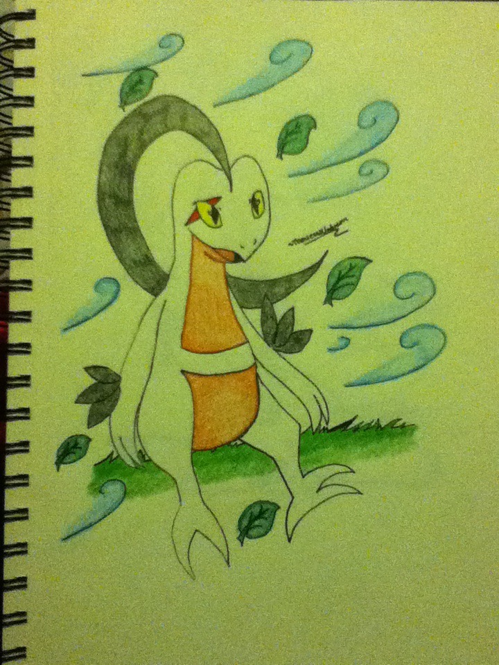 Oc request(Grovyle)