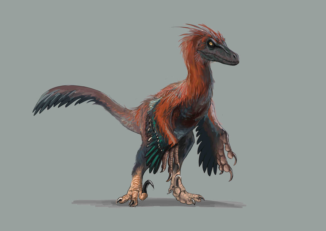 Pyroraptor by Mirroraptor on DeviantArt